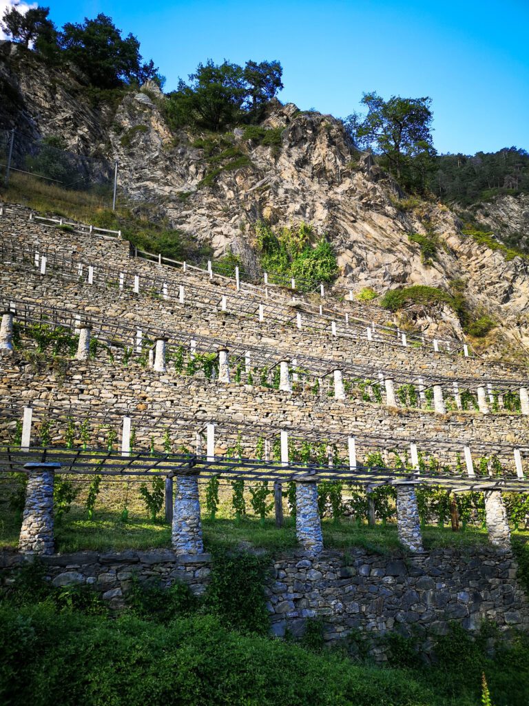 viticoltura eroica cammino balteo